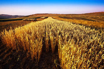 秋天行在希望的田野上 自驾张家口塞北梯田(2)