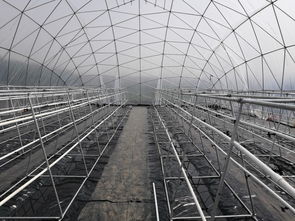 一种简易的矩式鸟巢型雾培蔬菜工厂浙江省丽水市农科所农业智能化快繁中心