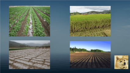 传统旱作谷物农业 (1).ppt