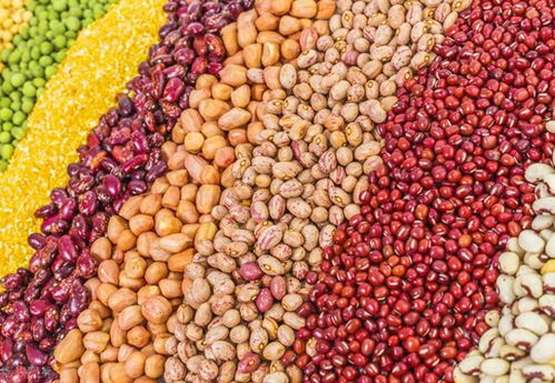 酸碱体质 养生真能抗癌 专家揭秘真正的抗癌属性,别再被误导