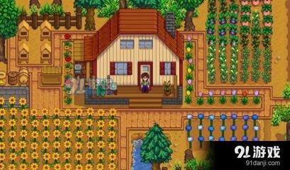 星露谷物语冬季赚钱种植物解析 星露谷物语冬季种什么