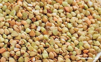 这种谷物一周吃一次竟能预防肠癌