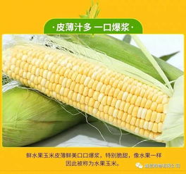 优势商品推荐 第一期