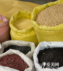 普陀新闻网 - 是综合性、多媒体的普陀第一门户网站