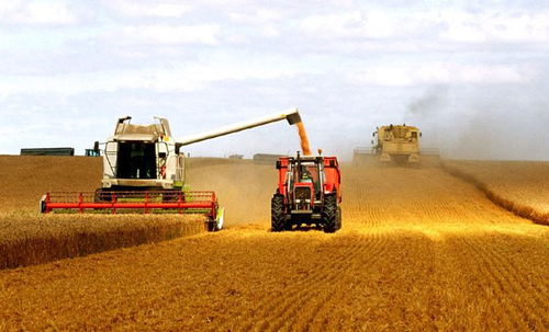 耕地保护加强,3大行为 零容忍 ,新建的房子也要拆除吗
