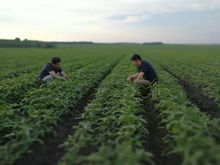 商 城 肠道里竟有10斤垃圾 还好有ta,每天两杯,清肠排毒又美颜