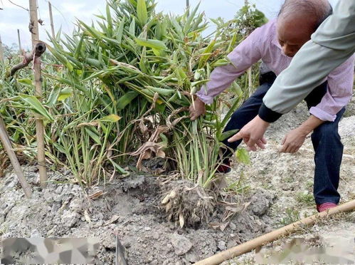天气转冷 这种 看家宝贝 备起来
