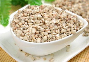 秋季多吃这种谷物 美容养颜防疾病