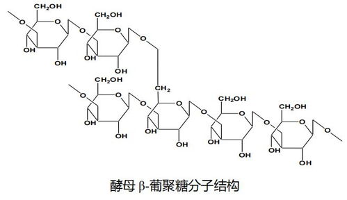 养猫新理念 免疫成分帮助提高猫咪自身抵抗力