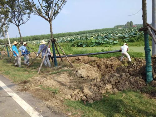 高温下坚守责任与担当