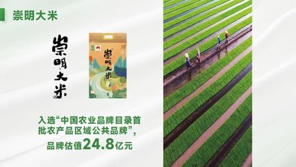【优秀案例】打造“崇明大米”地理标志,擦亮绿色农业“金字招牌”