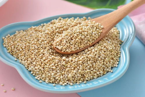 新品预告 这3款 萌煮出品 有机谷物,每个宝宝都不该错过