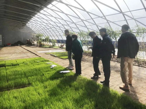 搭建高科技产品 技术与种植者的桥梁, 帮 祝 种植业主增产增收