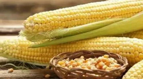 预防疾病，提高免疫力 这10种谷物才是你应该吃的