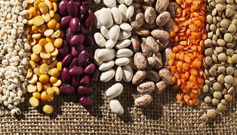 养生谷物食品潜力无限，五谷磨房赴港上市引领消费新风尚